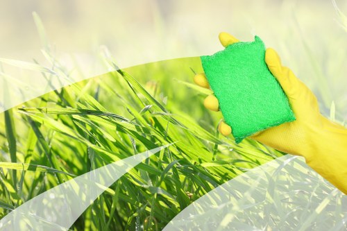 Professional carpet cleaning in a New Cross home