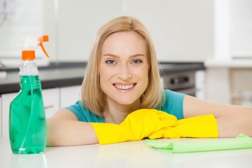 Carpet cleaning machine used for deep cleaning in New Cross