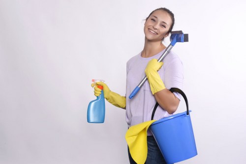 Cleaner treating a carpet in a New Cross interior
