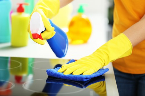 Cleaning a rug after a spill in a New Cross home