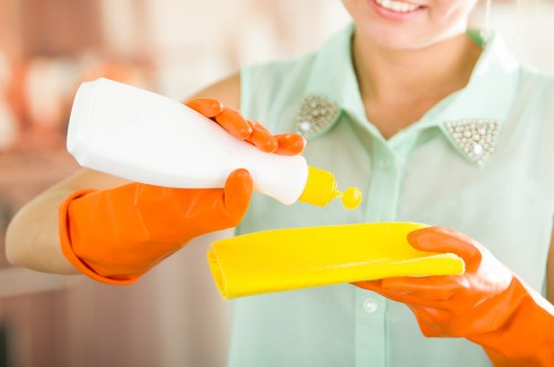 Liability and service limitation terms for professional cleaners