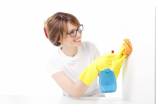 Deep mattress cleaning service in New Cross