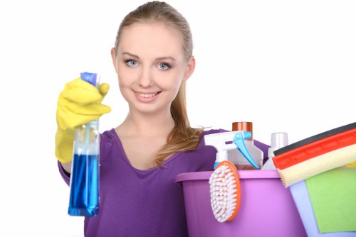 Common household stains and cleaning supplies in New Cross